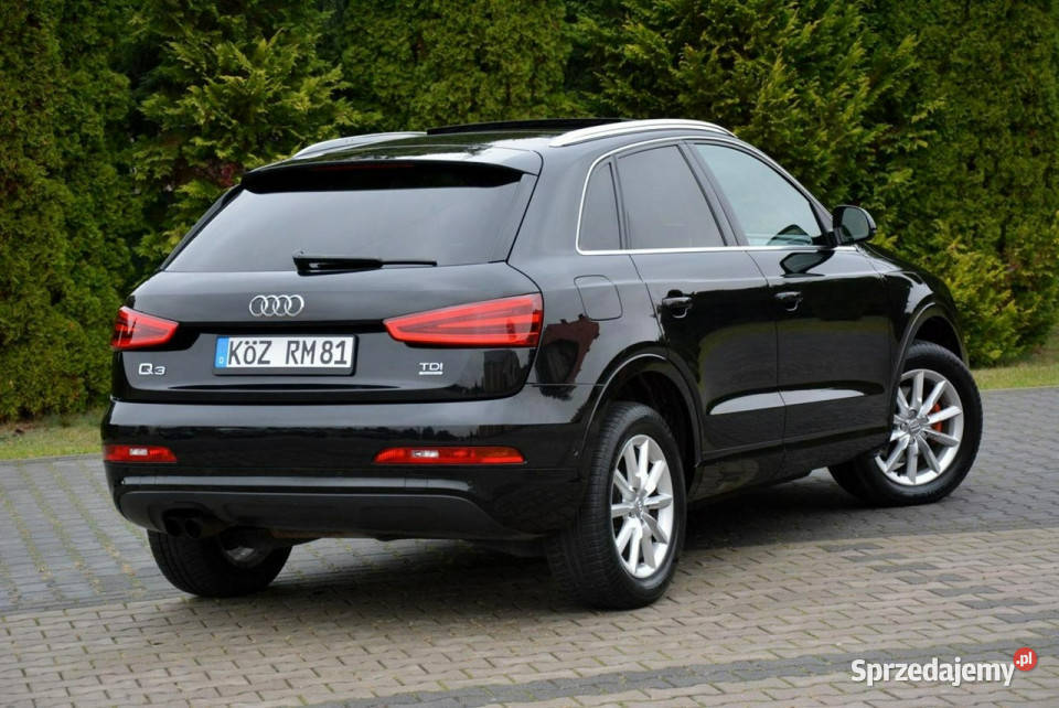 Audi Q3 Panorama Quattro Ledy biXenon Navi automatyczna Ostrów Mazowiecka