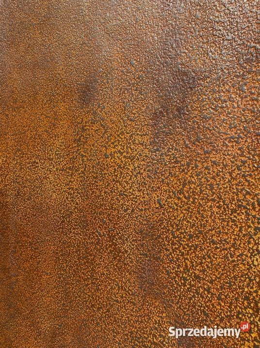 Kamień w Rolce CORTEN TERRA 280X122 mazowieckie