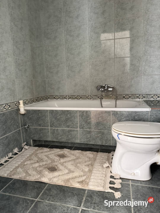 Panorama Kielc widok na park