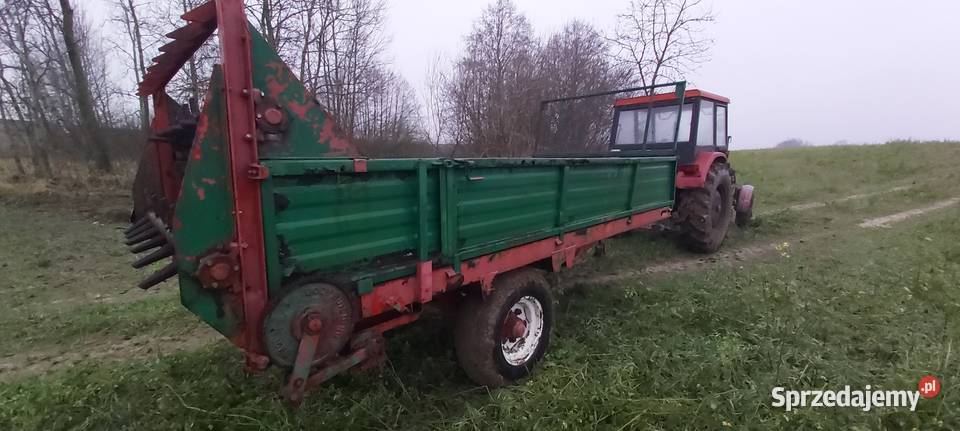 Rozrzutnik obornika czarno białostocka Izbica Kujawska sprzedam