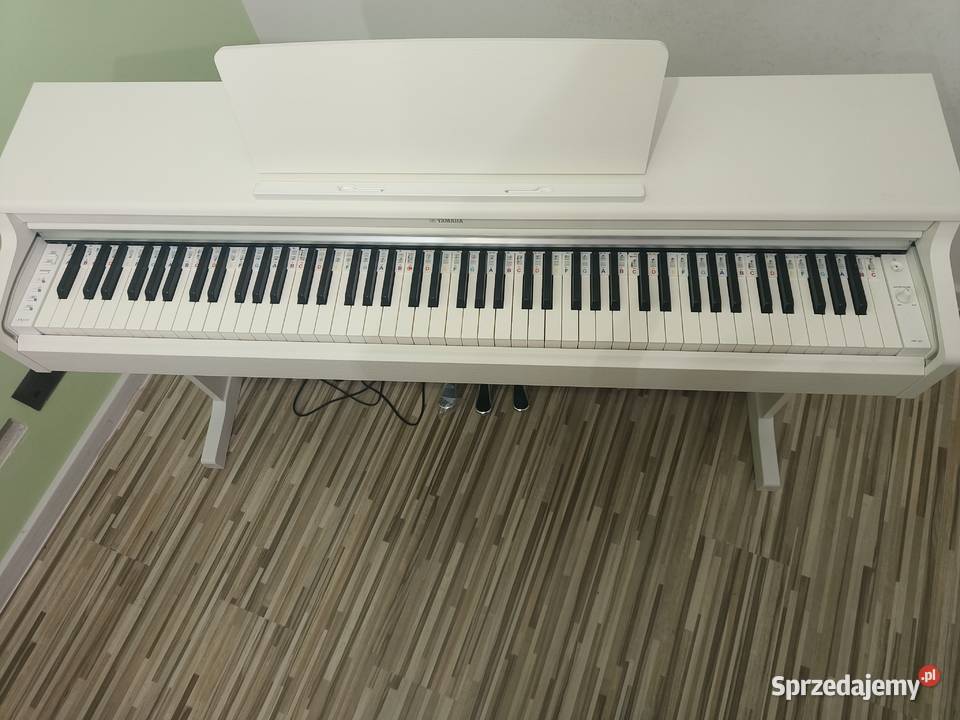 Yamaha Ydp165Wh Odolion