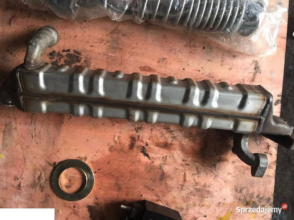 Claas Axion Arion EGR Jastrzębniki sprzedam