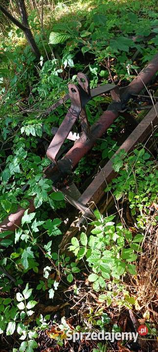 Brony 12 nieuszkodzony Jelenia Góra