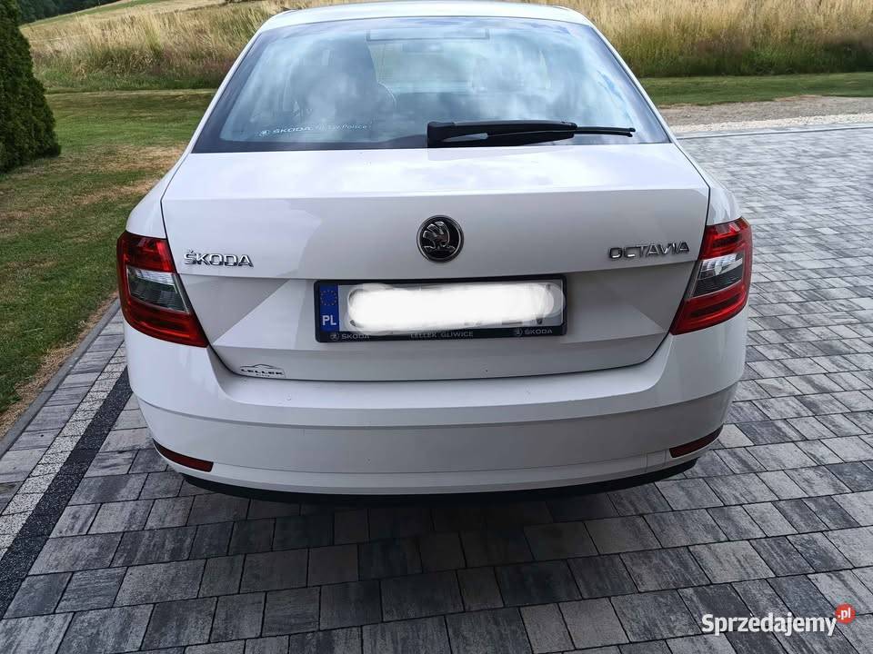 Skoda Octavia 2019 elektryczne lusterka Wysokie