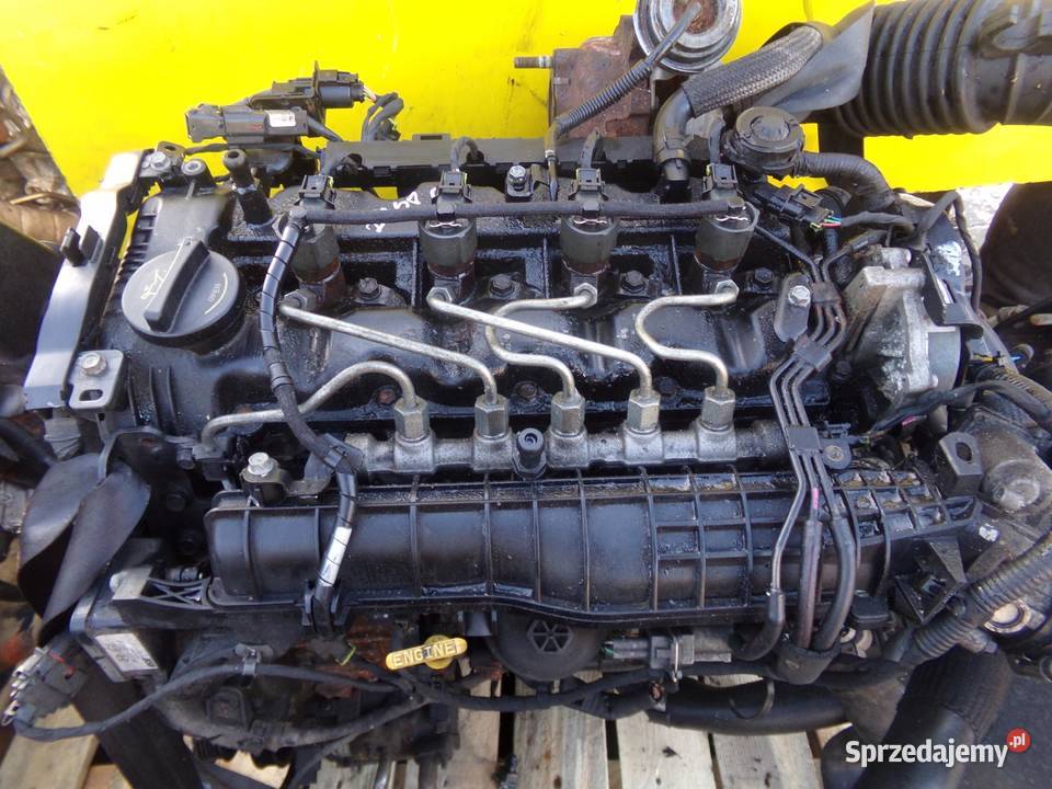 i40 ix35 CARENS SPORTAGE TUCSON 17 CRDI EURO 5 Suków sprzedam