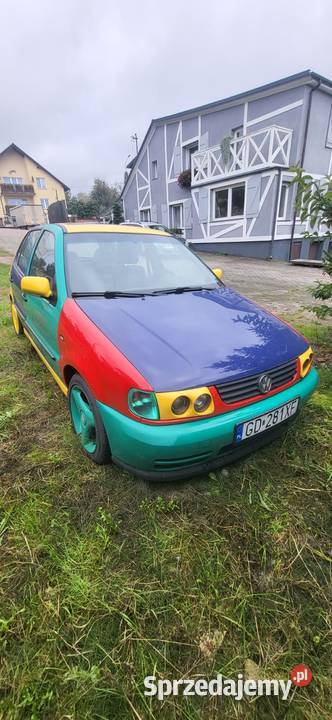 Volkswagen Polo Harlekin GT116VHellaGreen Hofele pomorskie Puck