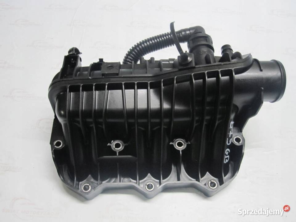 FORD FOCUS 10 ECOBOOST 12R 100 1047092S01