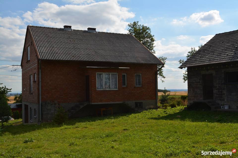 Dom z budynkami gospodarczymi na działce 110ha 120m2 Brzuchania sprzedam