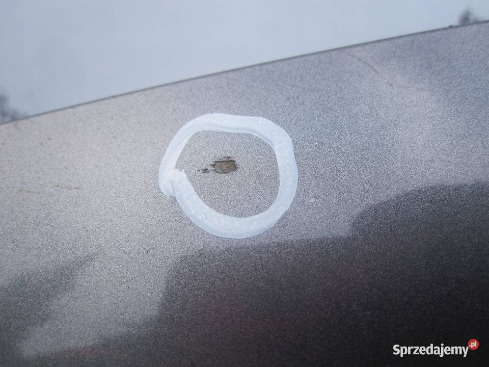 CITROEN C3 II 10r drzwi lewe przód Drzwi