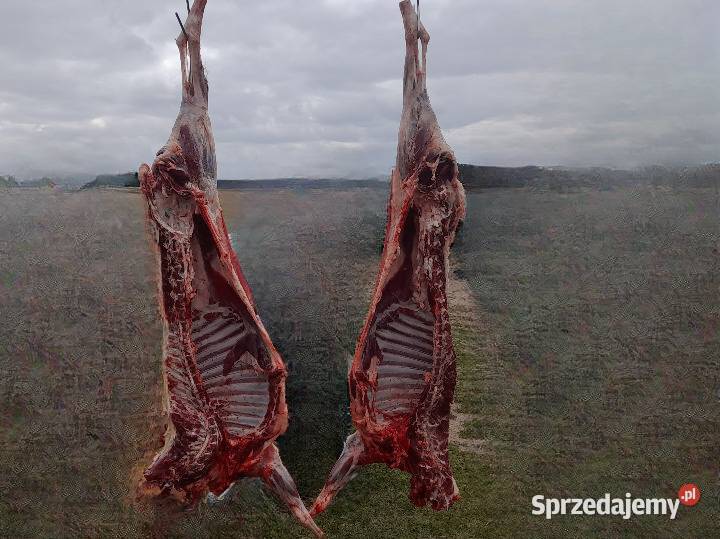 Kozie mięso tuszki kozina kozięcina ekologiczne kujawsko-pomorskie Brzoza