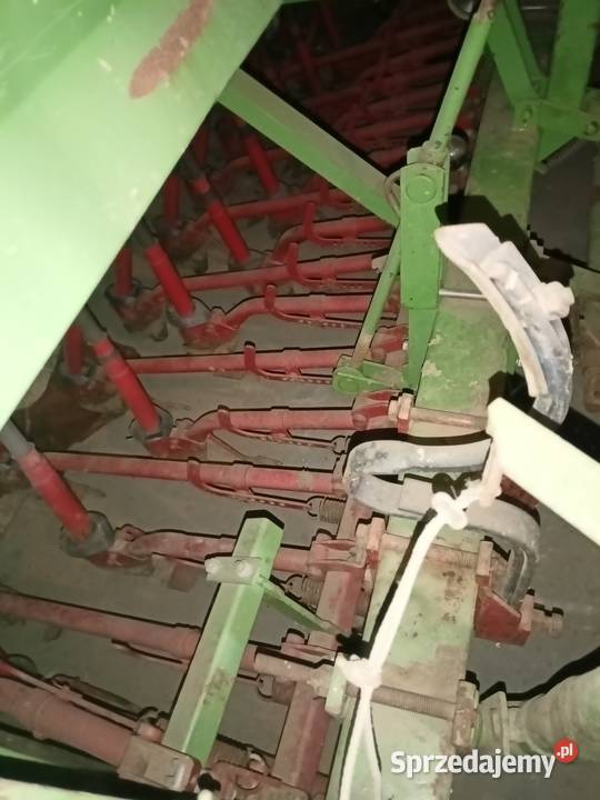 Siewnik podkarpackie Gać