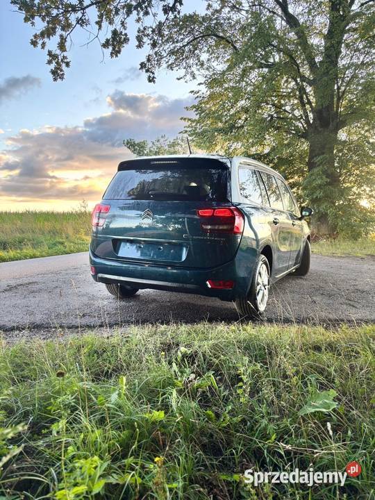 Citron C4 SpaceTourer BlueHDi 130 StopStart FEEL nieuszkodzony Biskupiec