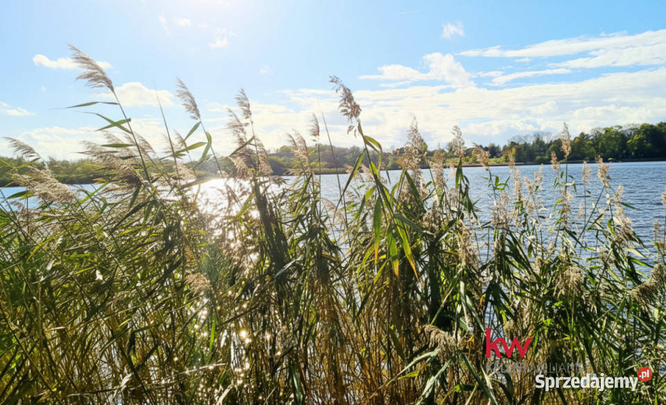 sprzedaży gruntu 1150 metrów Jaromierz