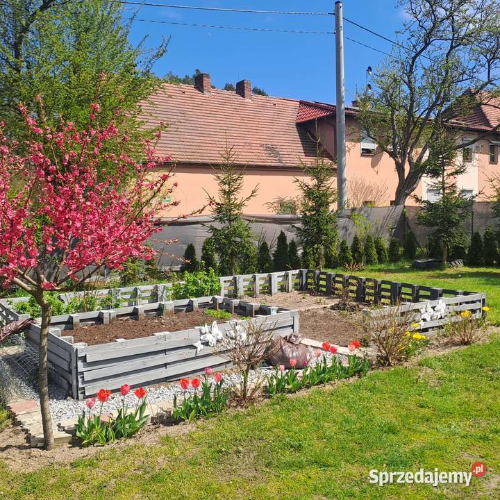 DOM 115m2 remoncie działka 15 arów starobrawski Radomierowice