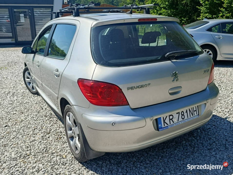Peugeot 307 Krajowy benzyna 16 klimatyzacja II 1587cm3 Dulowa