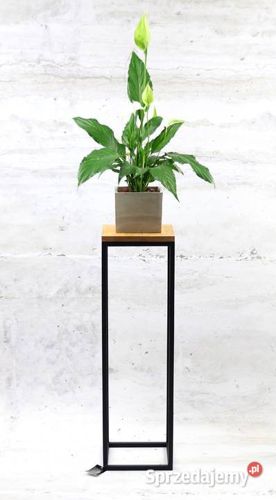 Kwietnik Metalowy Stojący Stojak na kwiaty 80 czarny Dekoracje i ozdoby Sobienie-Jeziory