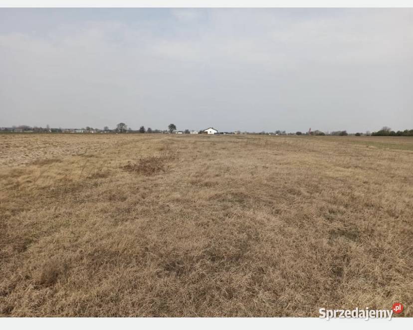 Działka ponad 3000 metrów 20 min Radomia mazowieckie Słupica sprzedam