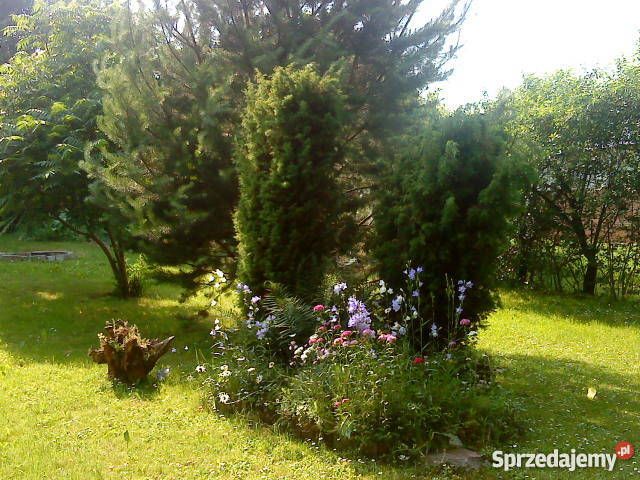 Sprzedam dom z dużym ogrodem węglowe lubelskie Żółkiewka-Osada