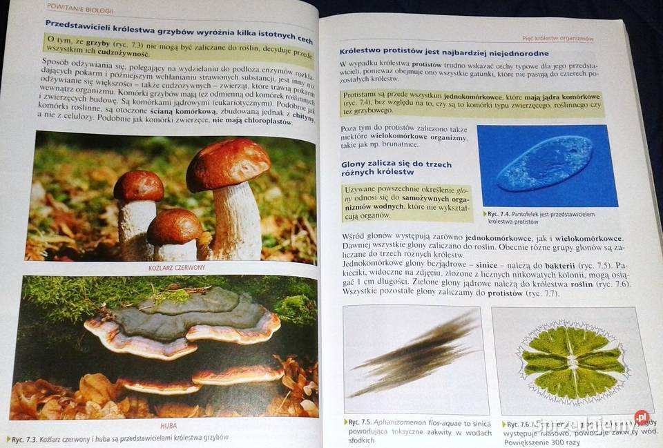 Ciekawa Biologia 1 Podręcznik Ewa Kłos