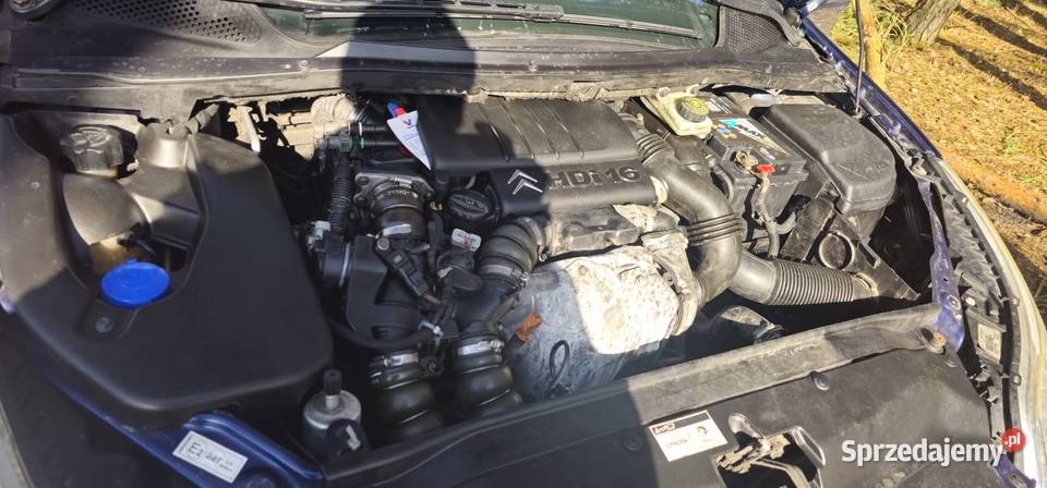 Sprzedam Citroen C4 Budzisław Kościelny