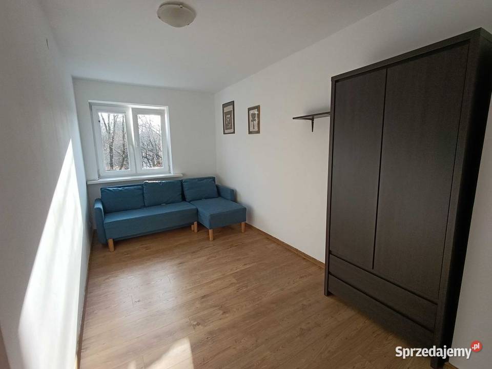 1pok 33met Nasturcjowej PIWNICA Wrocław