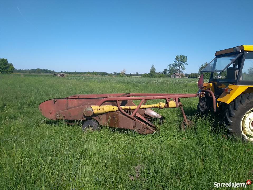 Kopaczka Elewatorowa do ziemniaków uszkodzony lubelskie Łyniew