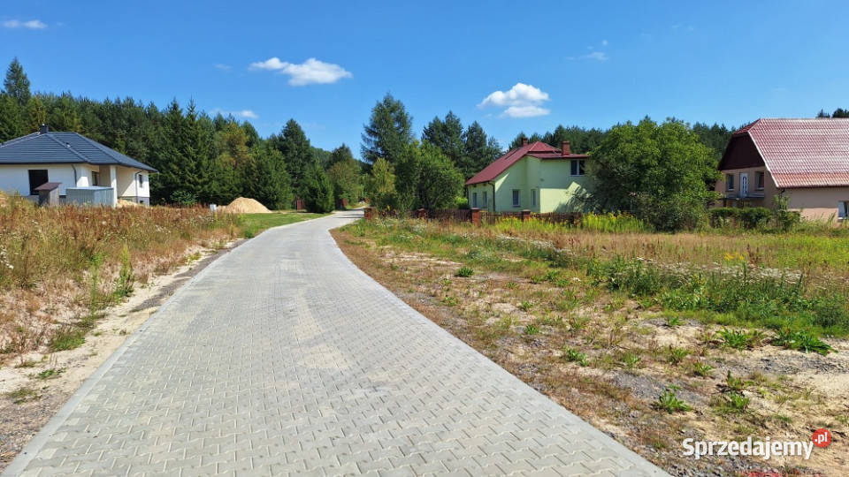działka 1000m Roztocze Trzepieciny Krasnobród utwardzona