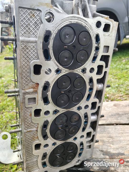 Głowica tata 22 lubelskie Rejowiec Fabryczny