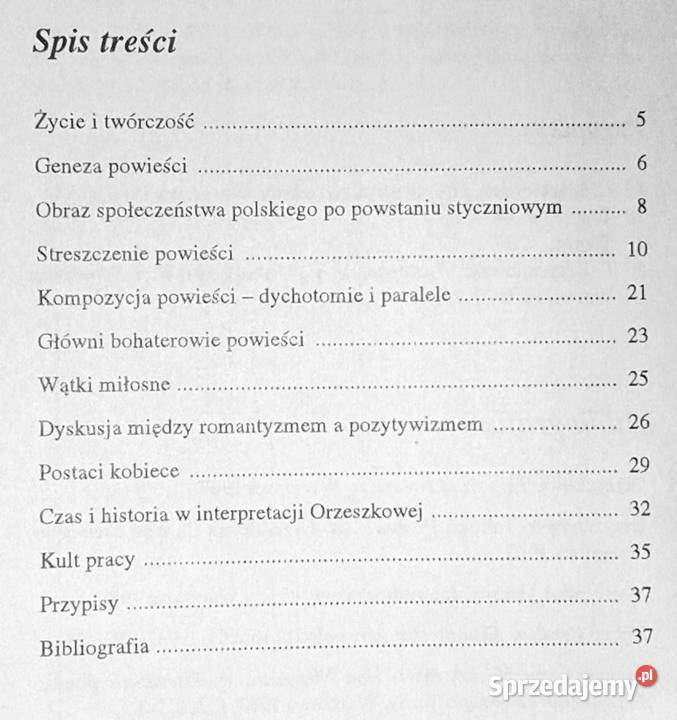 Niemnem Elizy Orzeszkowej Irena Nowacka miękka Chełm