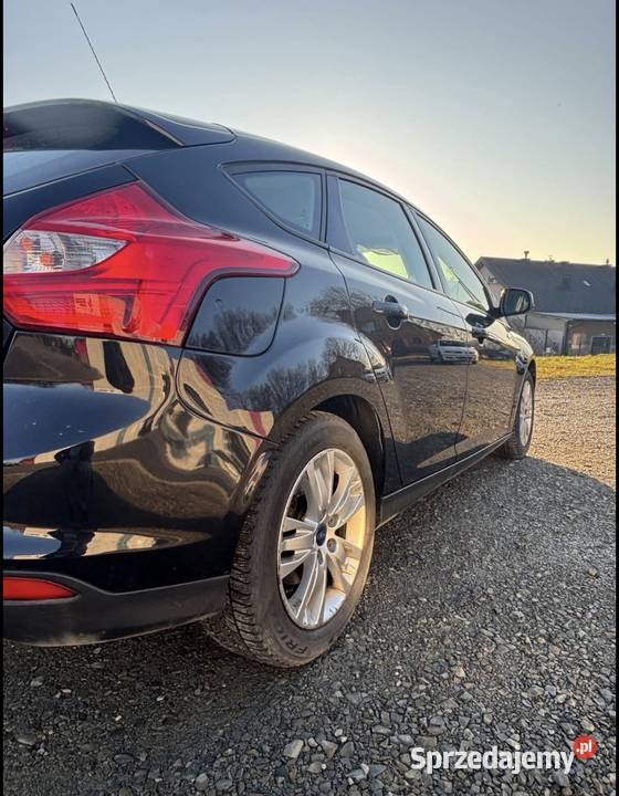 Ford Focus 2014 Trzciana