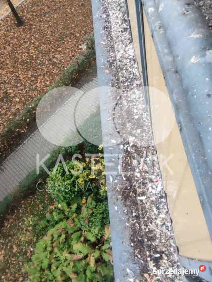 Sprzątanie gołębiach Chojnice Kastelnik mycie pomorskie