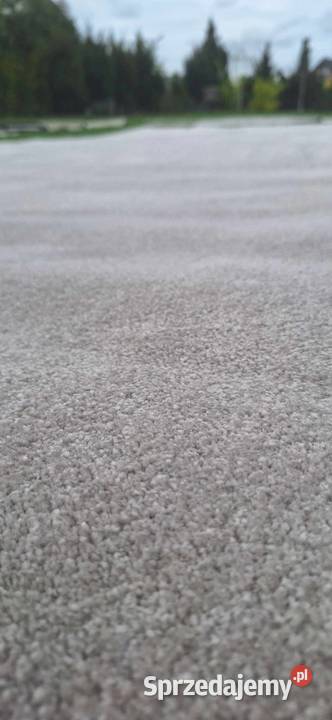 WYKŁADZINA DYWANOWA ANTYALERGICZNA wielkopolskie Słupca