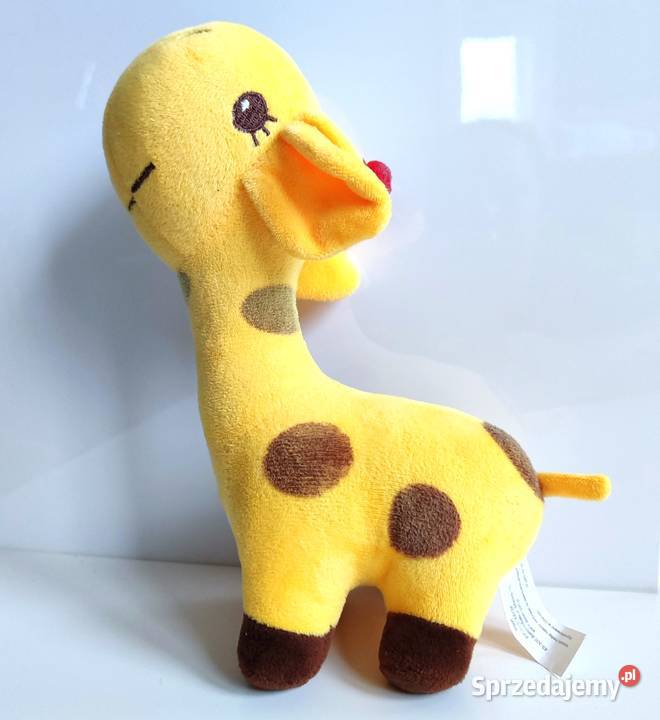 Żyrafa Antosia Axiom śląskie Katowice sprzedam