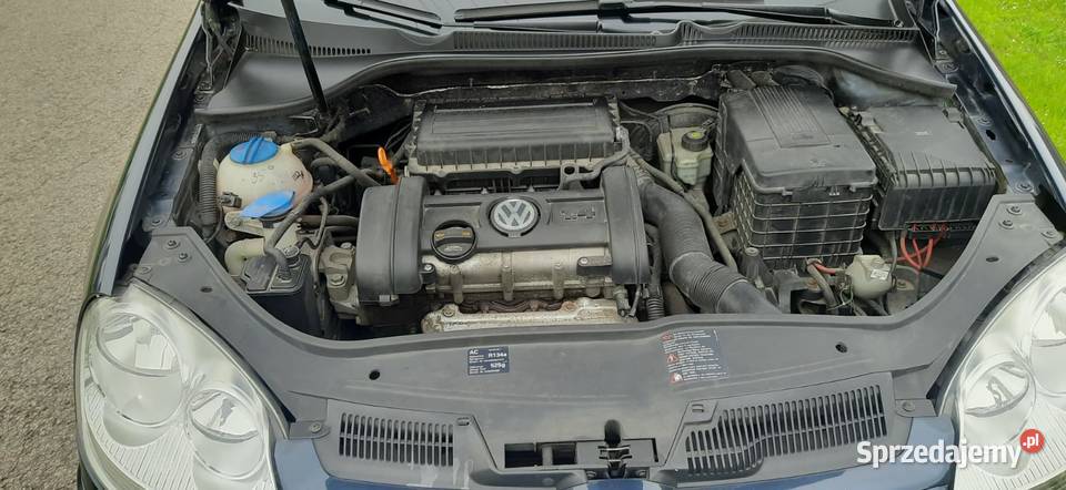 VW Golf V 2007r 14 MPI Benzyna Niski Przebieg Radom