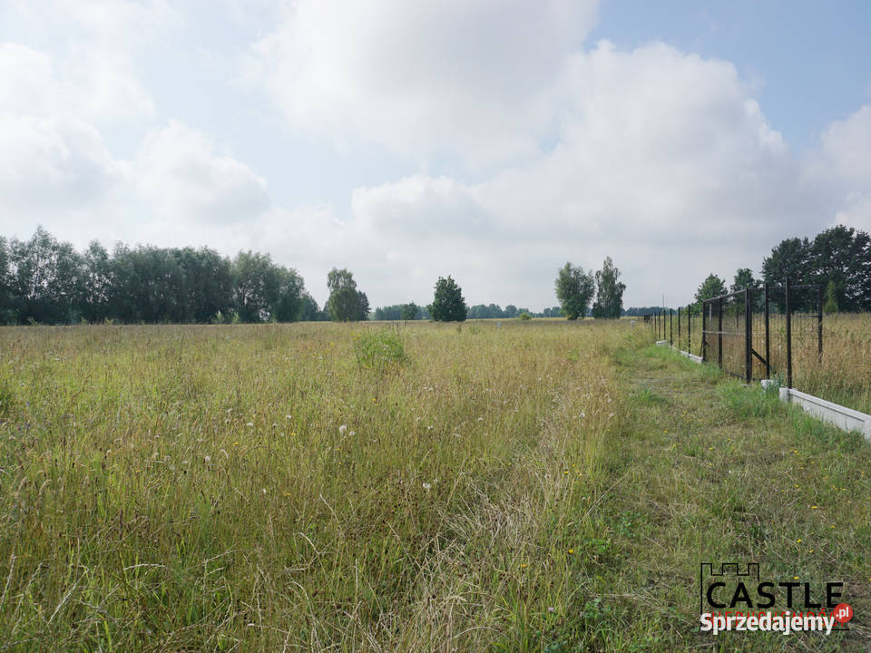 Mikoszewo I 3 działki I która najbardziej Ci