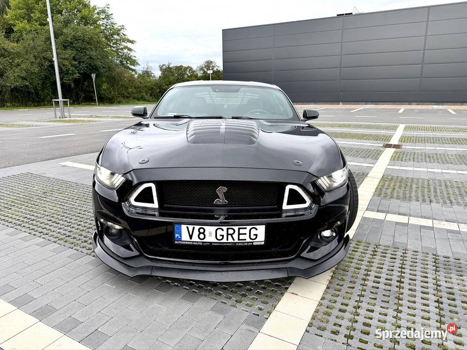 Śliczny Mustang 50 GT V8 2016r bezwypadkowy 170000km dolnośląskie Świdnica