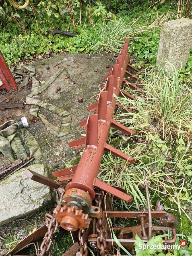 Wałki pomorskie Pomieczyno