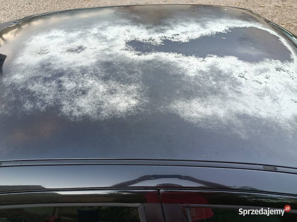Seat Leon 19 TDI 2003 Legnica