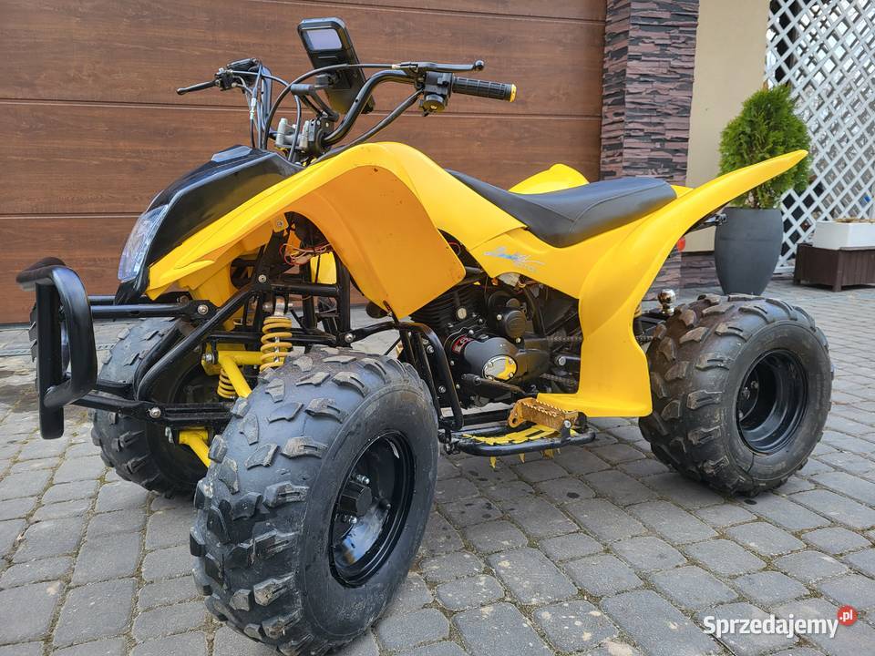 BASHAN 200ccm Niemce