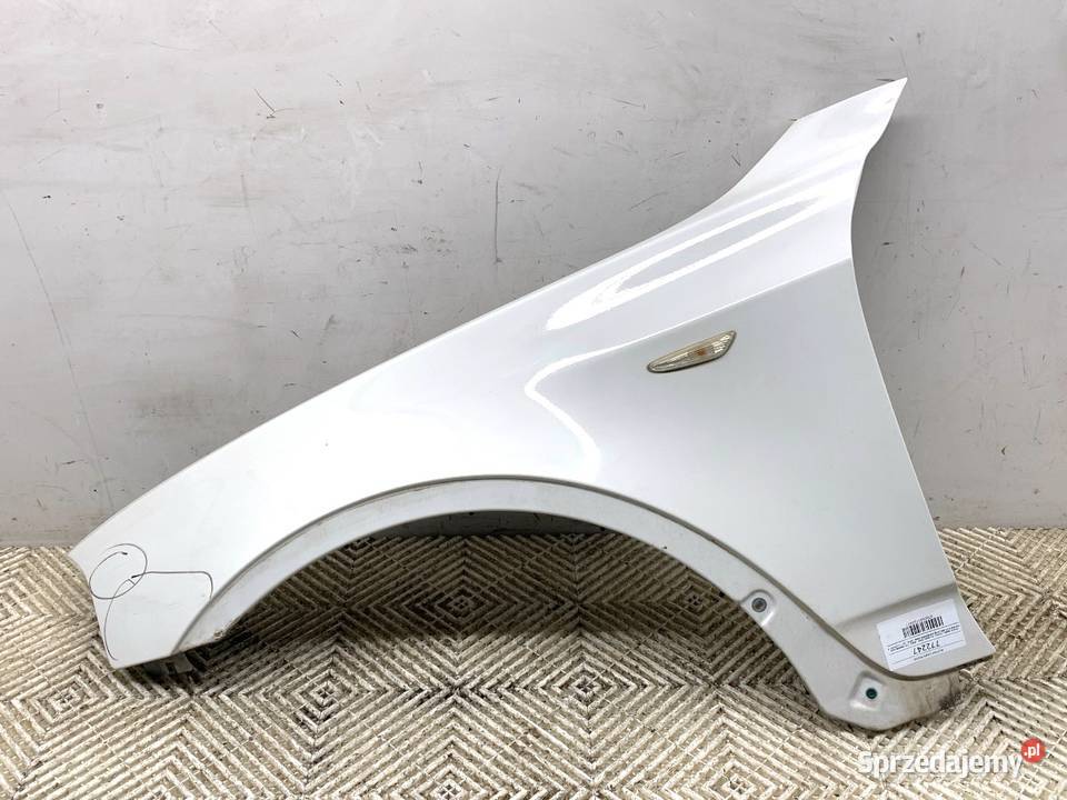 BŁOTNIK LEWY PRZÓD BMW E83 SUV 0311 ALPINWEISS 3