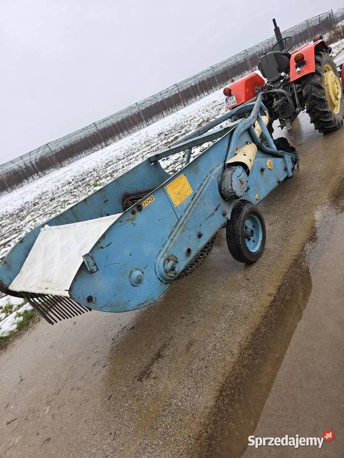 Kopaczka elewatorowa dwurzedowa do ziemniakow Samborzec sprzedam