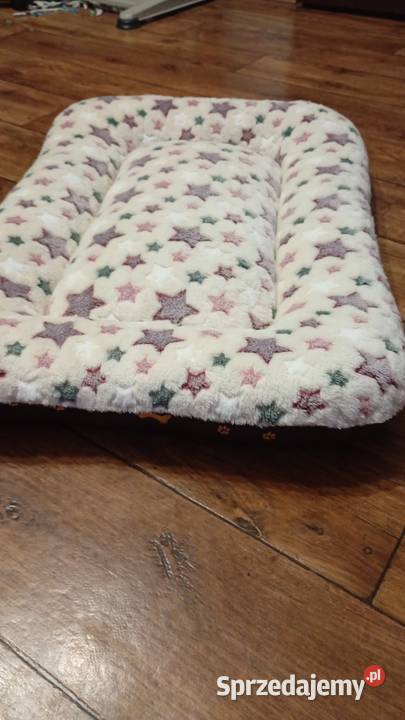 Nowe legowisko pupila