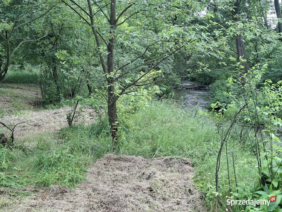 Działka rekreacyjna 09 ha ChrzanówBorowiec Chrzanów