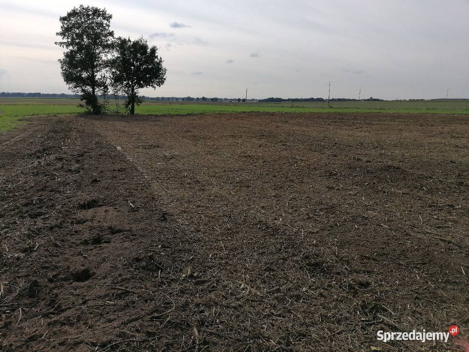 Mulczer leśny mulczowanie karczowanie Racibórz