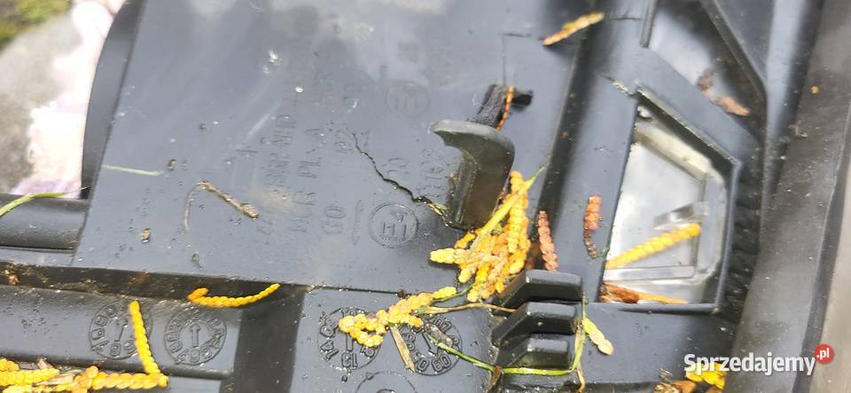 Lampa BMW E46 lift przednia prawa europa osobowe Wodzisław Śląski
