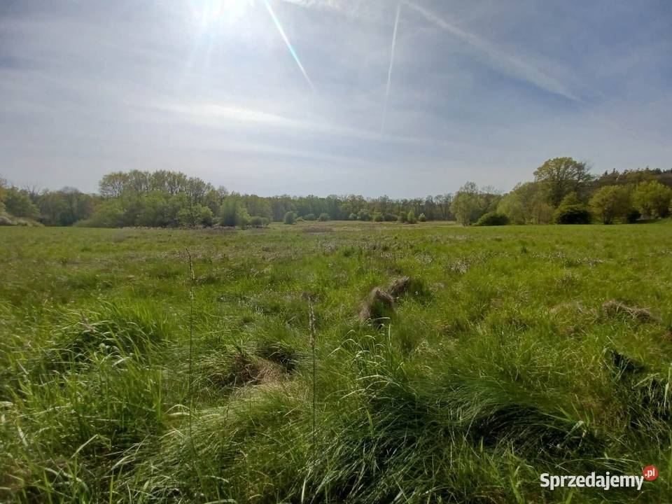 Działka rekreacyjna Gliniany