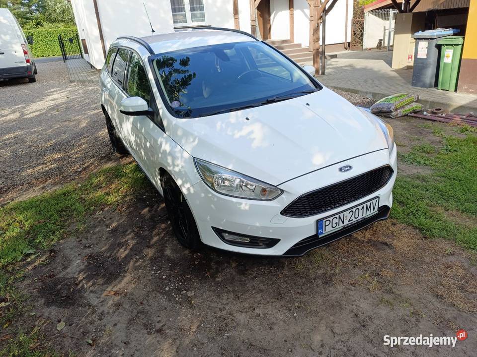 Ford Focus Mk 3 lift Gniezno