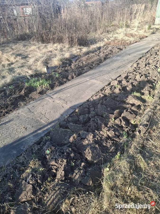 Działka ROD Wrzosowa Kielce sprzedam