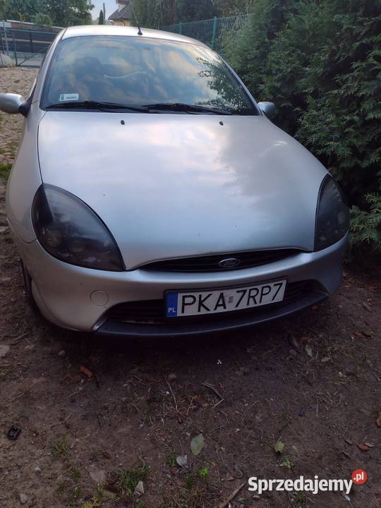 Ford Puma 17 LPG 125 Gokart Puma Kalisz