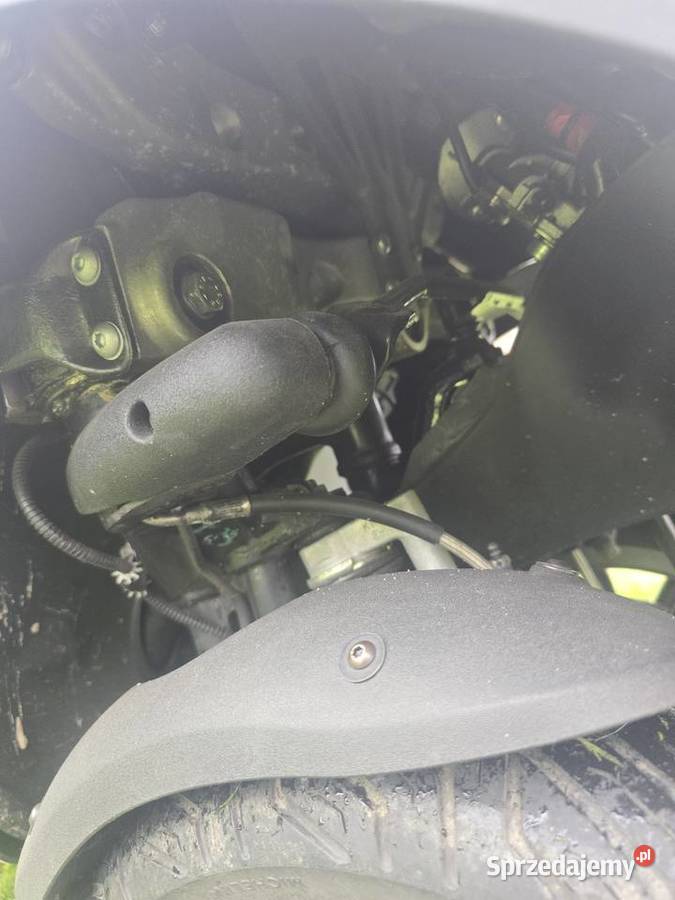 Mp3 Strzelce Opolskie